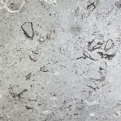 ออริซินา ฟิออริต้า